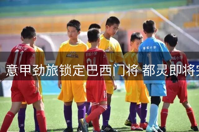意甲劲旅锁定巴西门将 都灵即将完成今夏第五签
